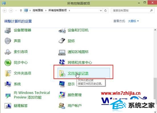 windows10ϵͳôʷ¼нļų