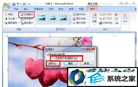 点击左上方的“压缩图片” win10系统在office2007 word文档中插入图片后无法显示的解决方法