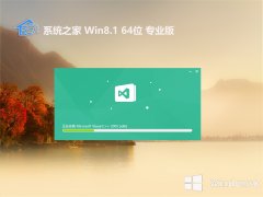 ϵͳ֮win8.1 64λرðv2025.05⼤