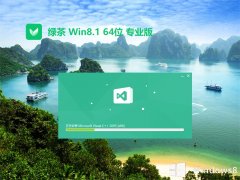 ̲ϵͳwin8.1ȫרע64λv2025.05