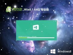 ײ64λwin8.1v2025.05