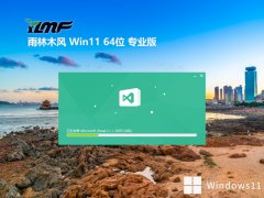 ľ⼤win11 64λ߶ȫ°v2025.05