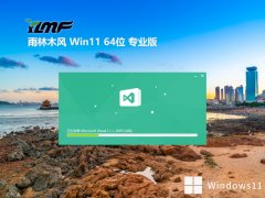 ľ⼤win11 64λ߶ȫ°v2024.05