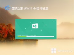 ϵͳ֮⼤win11 64λȰv2025.05