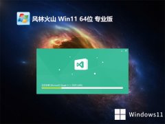 ֻɽ64λwin11羺콢v2025.05