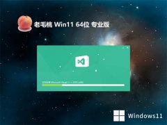 <font color='#333333'>ëwin11 64λٰv2025.05⼤</font>