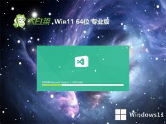 ײwin11רעͨ64λv2025.05