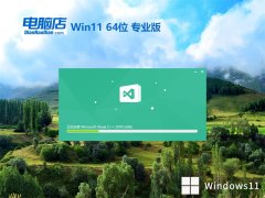 Ե64λwin11ټv2025.05