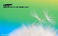 雨林木风最新win10 32位豪华中文版v2022.10